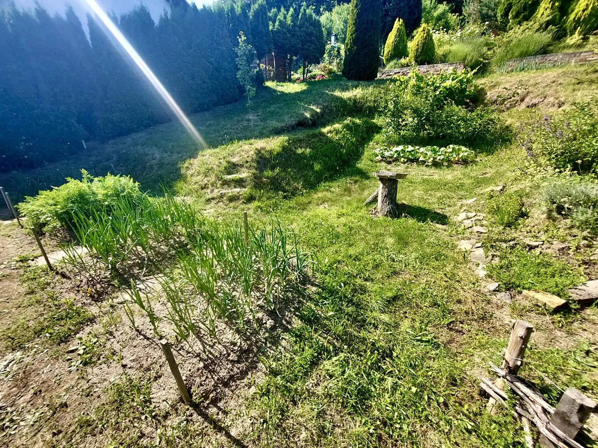 Fotka 10 z 18